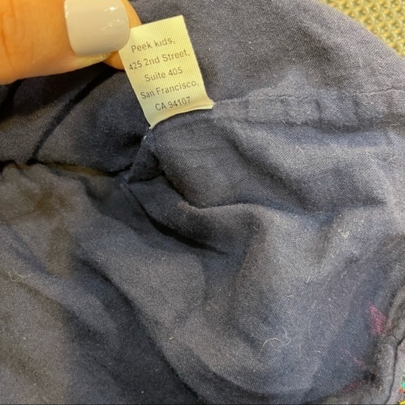 Peek Kids Velvet Embroidered Dress Size XS(2-3) - Picture 6 of 8